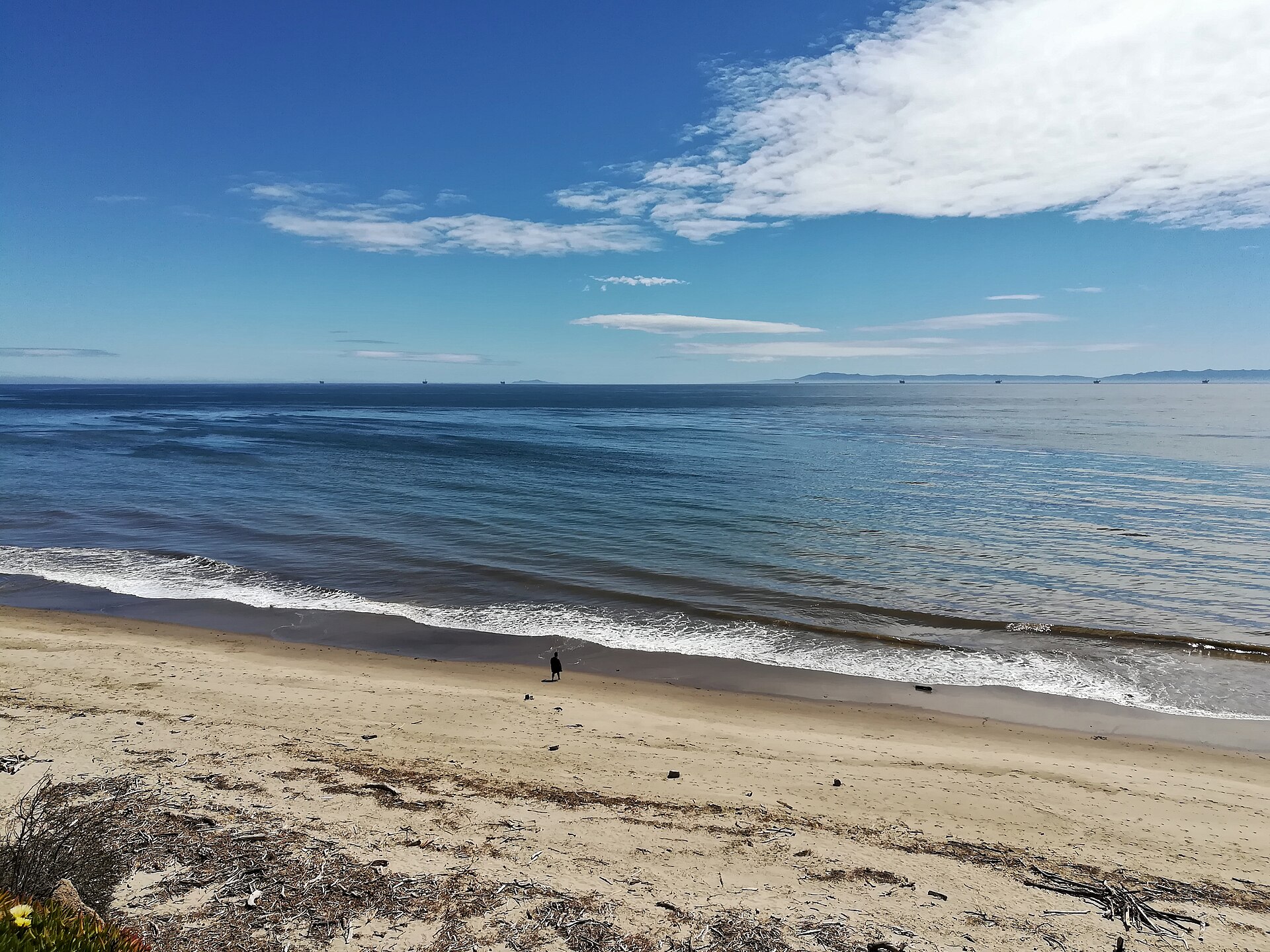 The Pacific from above Summerland Beach